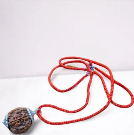 7 Mukhi Rudraksha