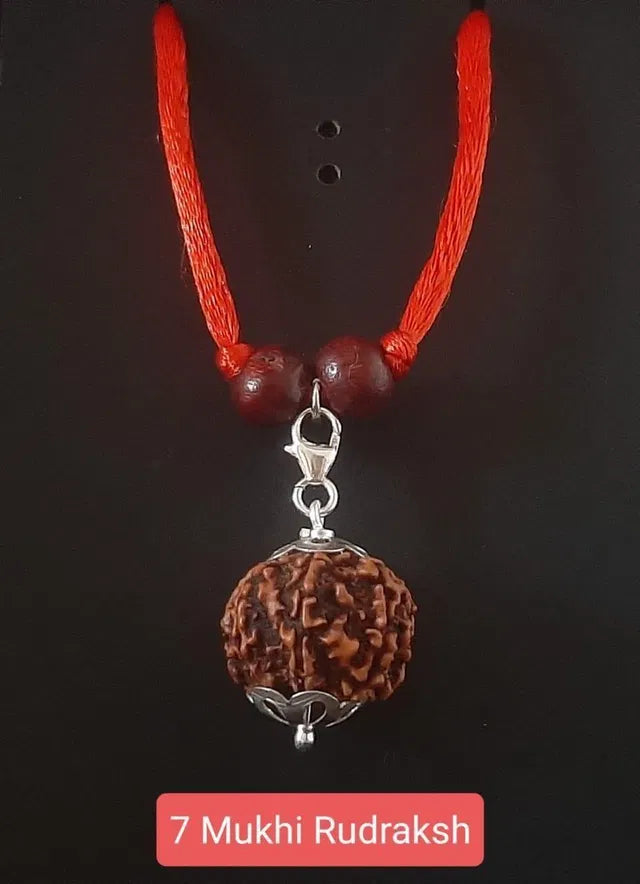 7 Mukhi Rudraksha